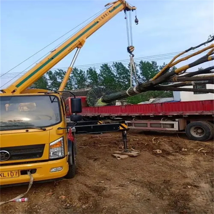 公安100吨吊车租赁费用怎么算？3大关键因素+省钱技巧全解析